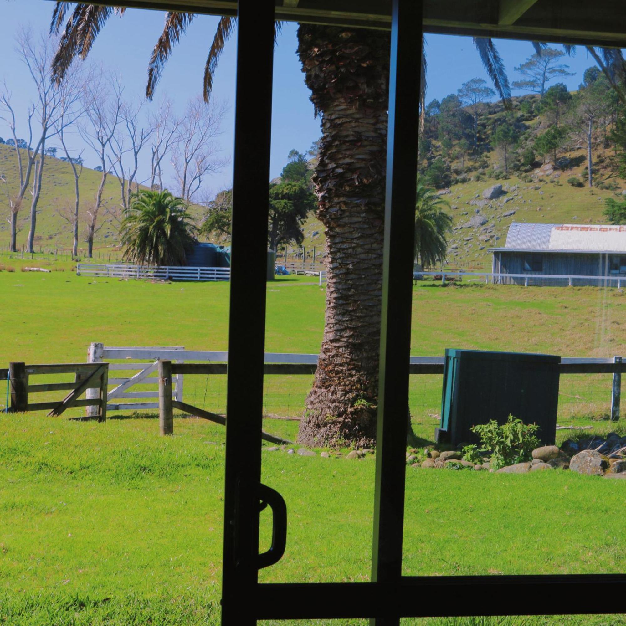 Slipper Island Resort Pauanui Exterior foto